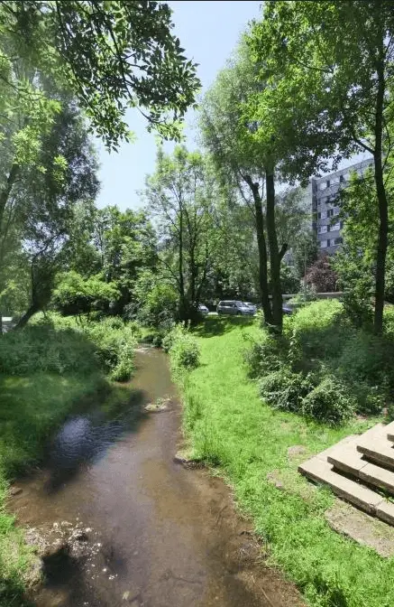 Hachinger Bach